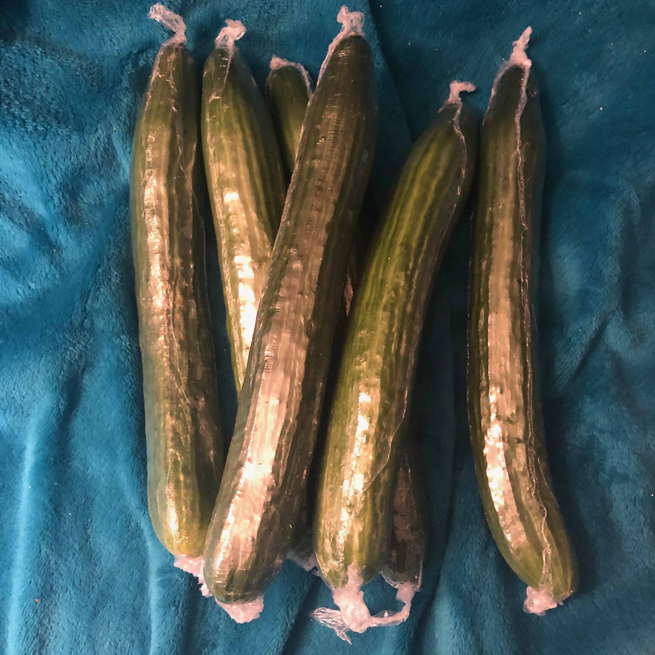 A pile of English cucumbers numbering six